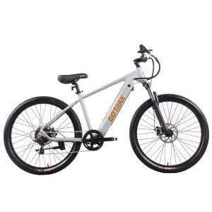 D1RT Electric Mountain Bike