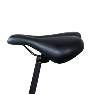 EBE1 Electric Bike Seats