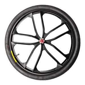 EBE2 Electric Bike Driven Wheel Assembly