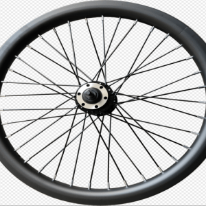 F1 / R1 / Z4 LITE Electric Bike Driven Wheel Assembly