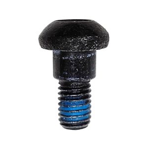 GKS Fork Mounting Bolt