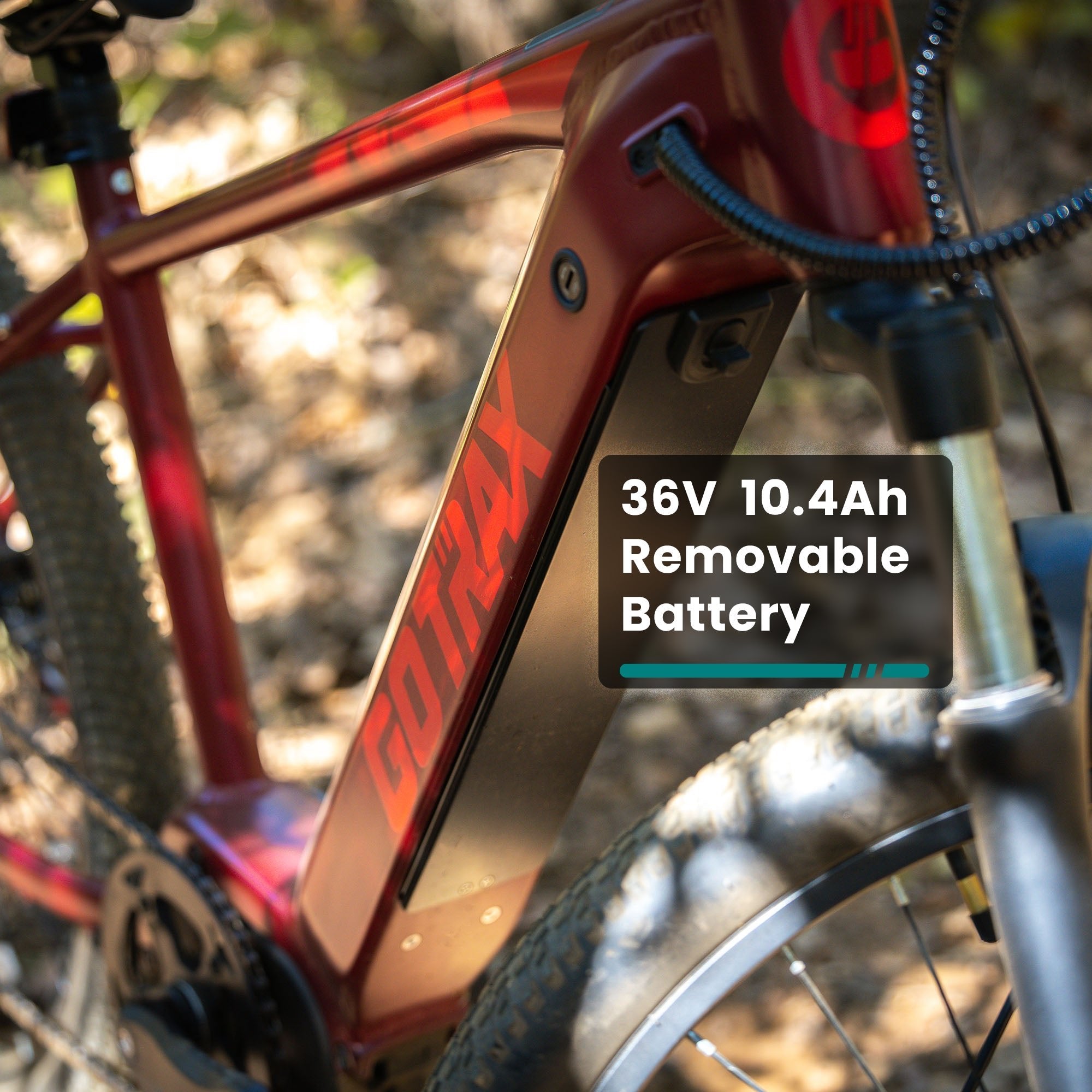L1NE Mid Drive eMTB - Image 4