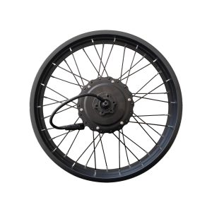 R2/F2 Electric Bike Motor Wheel Assembly